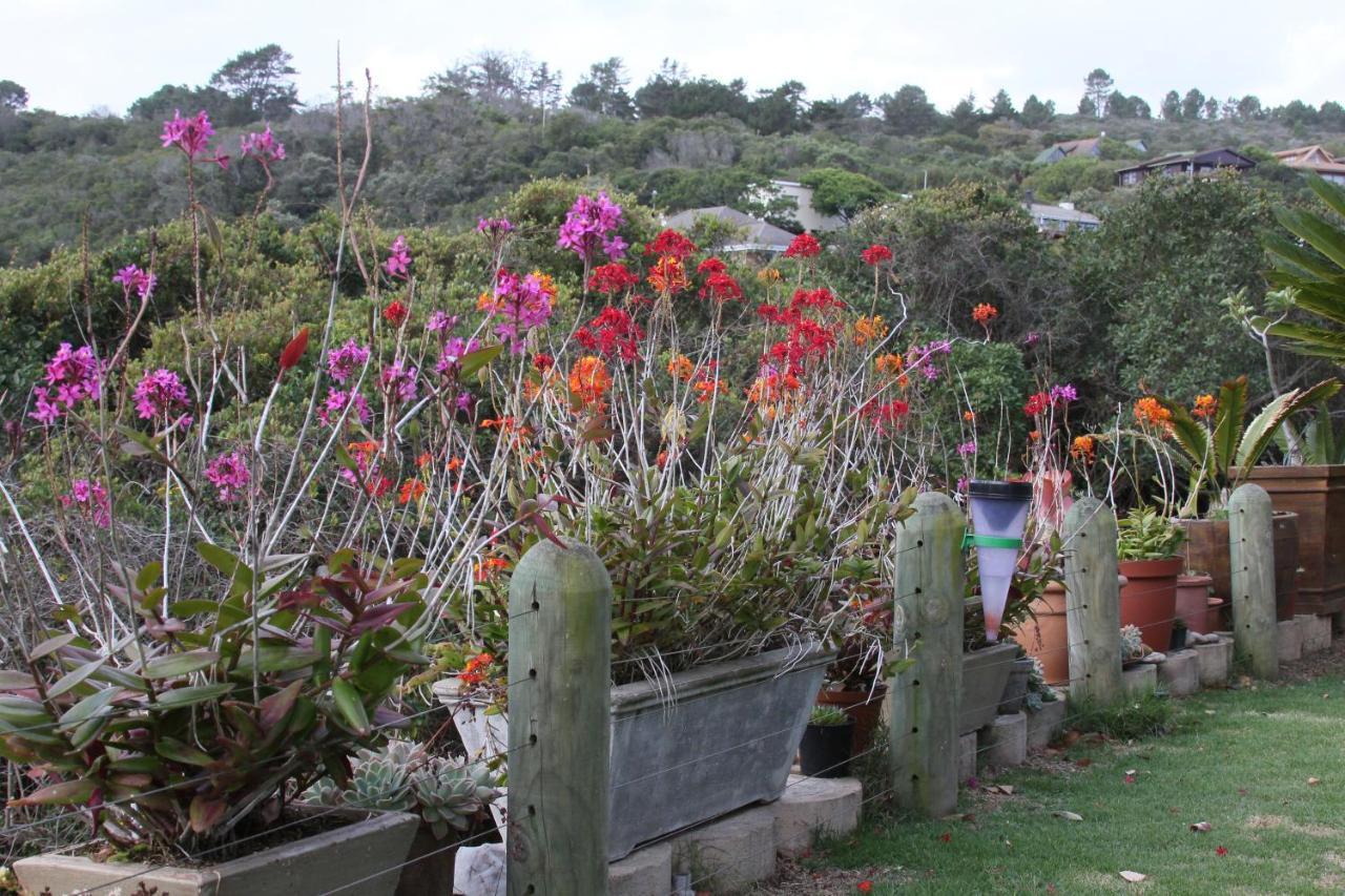 Imperani Lejlighed Plettenberg Bay Eksteriør billede