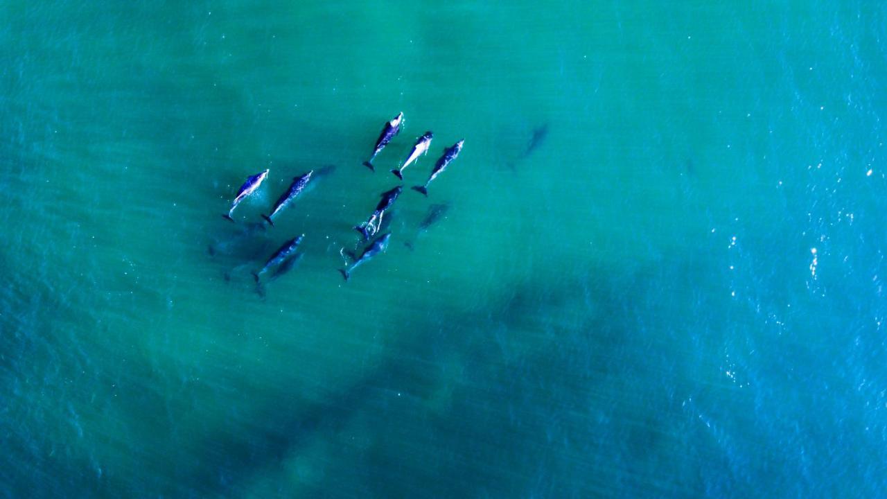 Imperani Lejlighed Plettenberg Bay Eksteriør billede