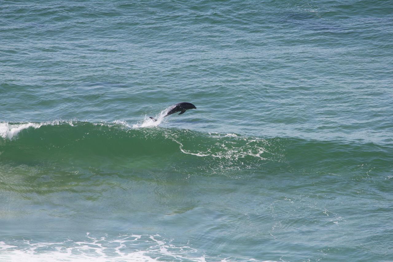 Imperani Lejlighed Plettenberg Bay Eksteriør billede